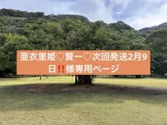 ぷっくりシール 立体 3D ステッカー 食べ物 スイーツ ドリンク 韓国