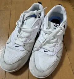 ナイキシューズ