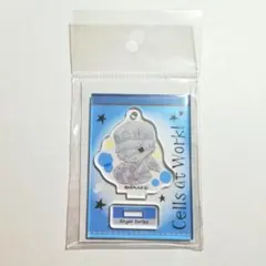 はたらく細胞 【 白血球 】 アクリルスタンド　アクスタ　サンリオ