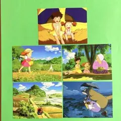 スタジオジブリ　となりのトトロ　大判ポストカード　 ５枚セット　C