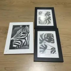 Item thumbnail for item 6a48b691-6d96-46f5-9755-b48d13bdb768