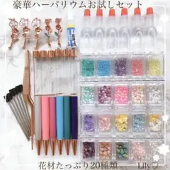 豪華　たっぷりお花　ビーズ　20種類　花材キット　6色　ハーバリウムボールペン