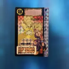 断捨離 ドラゴンボール カードダス 216 - メルカリ
