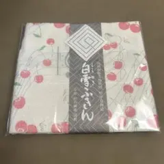 Item thumbnail for item 2b019506-76ea-40a4-a764-f2c249cba184