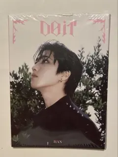 Stray Kids DO IT 開封済 アコーディオン ハン ジソン