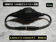 Item thumbnail for item 641aa9d2-09a3-4ed5-8876-4f6ca0141b2a