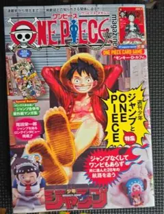 【新品】モンキー・D・ルフィ プロモ付き ワンピースマガジン 期間限定ラスイチ