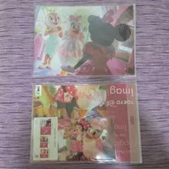 イマジニングザマジック ガールズ クリアホルダー3枚 ファイル ディズニー 2コ