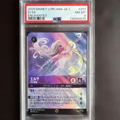 2026年最新】ロルカナ エルサ psa10の人気アイテム - メルカリ