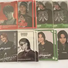 岩谷翔吾 フォトカード11枚セット THE RAMPAGE まとめ売り