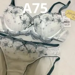 A75 チュチュアンナ　ブラショーツセット