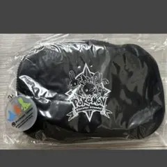 当時物】ポケモンセンター限定品GBA SPメッシュポーチ アチャモ