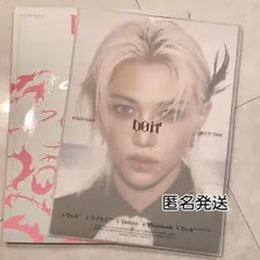 StrayKids DOIT IT ver 通常盤　CD フィリックス