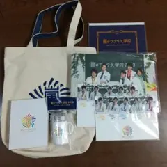 嵐のワクワク学校 2013 グッズ ７点セット