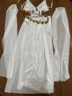 Item thumbnail for item 3392714e-4236-42c8-ad09-ea32ae3430f8