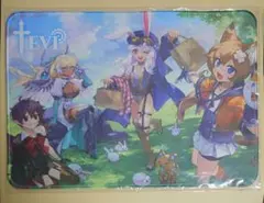 TEVI ワッフルタイム　マウスパッドマウスパッド 　未開封新品