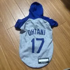 Item thumbnail for item 5b92e65c-8bb2-4ae7-bfd5-6f5f68f6b1e1