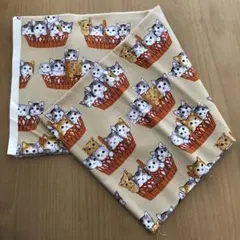 Item thumbnail for item f0adc89e-7439-4e3d-befd-f92f523724f7