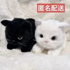 吉徳 ぬいぐるみ コネコ ブラック ホワイト 猫