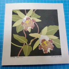 ラスト1枚 吉田正樹 木版画○多色刷＊彩花譜シリーズ - メルカリ