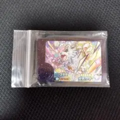 ガチグマ　ポケモンフレンダ　ポケモン　フレンダ　トレジャーピック　テラスタル