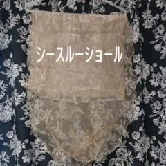 Item thumbnail for item ea596912-cbcd-40a2-82d6-dd670bafb9a8