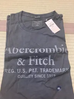 Abercrombie & Fitch Tシャツ XXL グレー