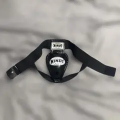 WINDY 金的ガードのサムネイル