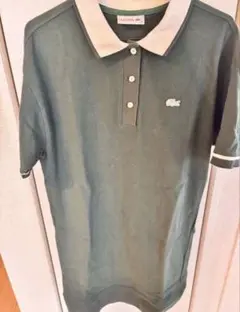 Item thumbnail for item 1fd1c8b7-850a-44a1-a627-355d29d95822