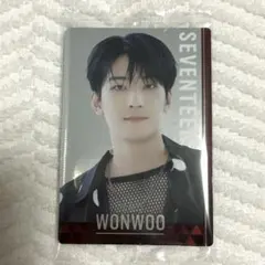 SEVENTEEN ウエハース ウォヌ