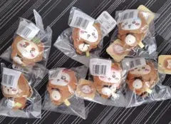 たぬきだもんくじ