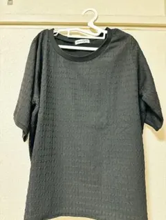 半袖カットソー ブラック 4L