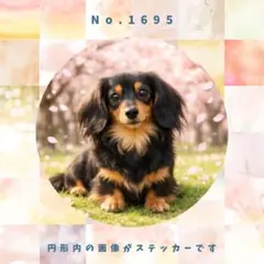 Item thumbnail for item 9a39f7a1-8e8f-4e27-92c7-b59cd729a5b4