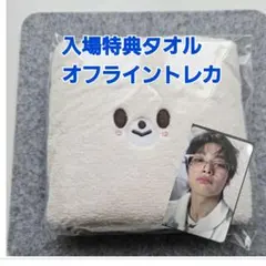 Straykids スキズ ペンミ トレカ アイエン フォクシニー入場特典タオル