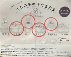 うちの子のけだまだま　猫のサムネイル
