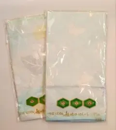 Item thumbnail for item ea357b4b-e444-45b1-b382-c0e11ac88f3b