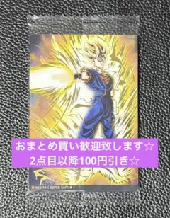 キリッペン2018様 リクエスト 2点 まとめ商品
