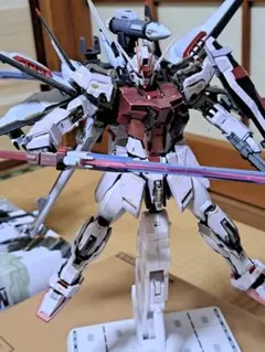 メタルビルド ストライク　ルージュ　オオトリ装備