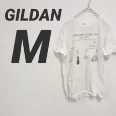 Item thumbnail for item 49f6e2ae-20b0-456f-8f08-75a34bf607c3