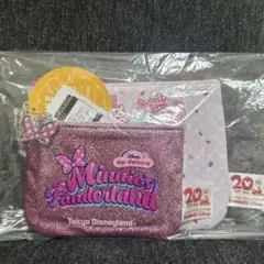ファンダフル　ディズニー　パルパルーザ　ミニー　ファンダーランド　ポーチ