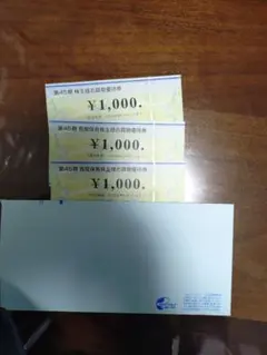 ビックカメラ株主優待 4000円分