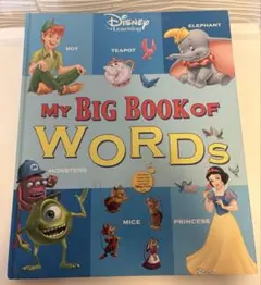 2026年最新】dwe big book of wordsの人気アイテム - メルカリ