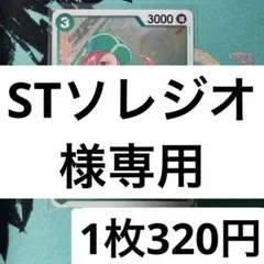TSソレジオ様 リクエスト 2点 まとめ商品