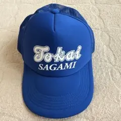 浦和実業学園高校　甲子園野球応援　キャップ　帽子 2026年最新】リーグ名/大会名：高校野球選手権/甲子園 野球 応援グッズ