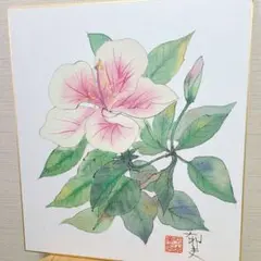 Item thumbnail for item 9ce100b5-2375-4f27-b346-9ceed304be7d