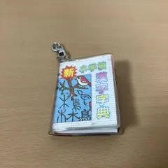 レトロ】豆本 キーホルダー（なぞなぞ、漢字辞典） - メルカリ