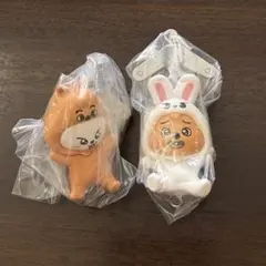 スキズ つまんでつなげてますこっと 味噌 リービット ハンクォッカ