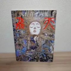 2026年最新】天野喜孝 飛天の人気アイテム - メルカリ
