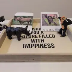 モンテッソーリ教育　動物フィギュアとカード