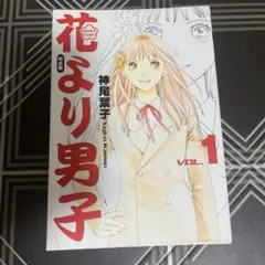美品初版花より男子 完全版 1巻 初版　神尾葉子